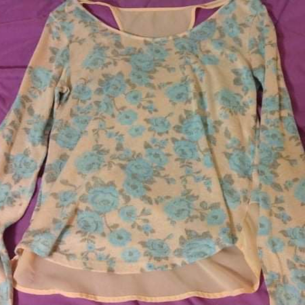 Light pink long sleeved blouse with blue flowers
